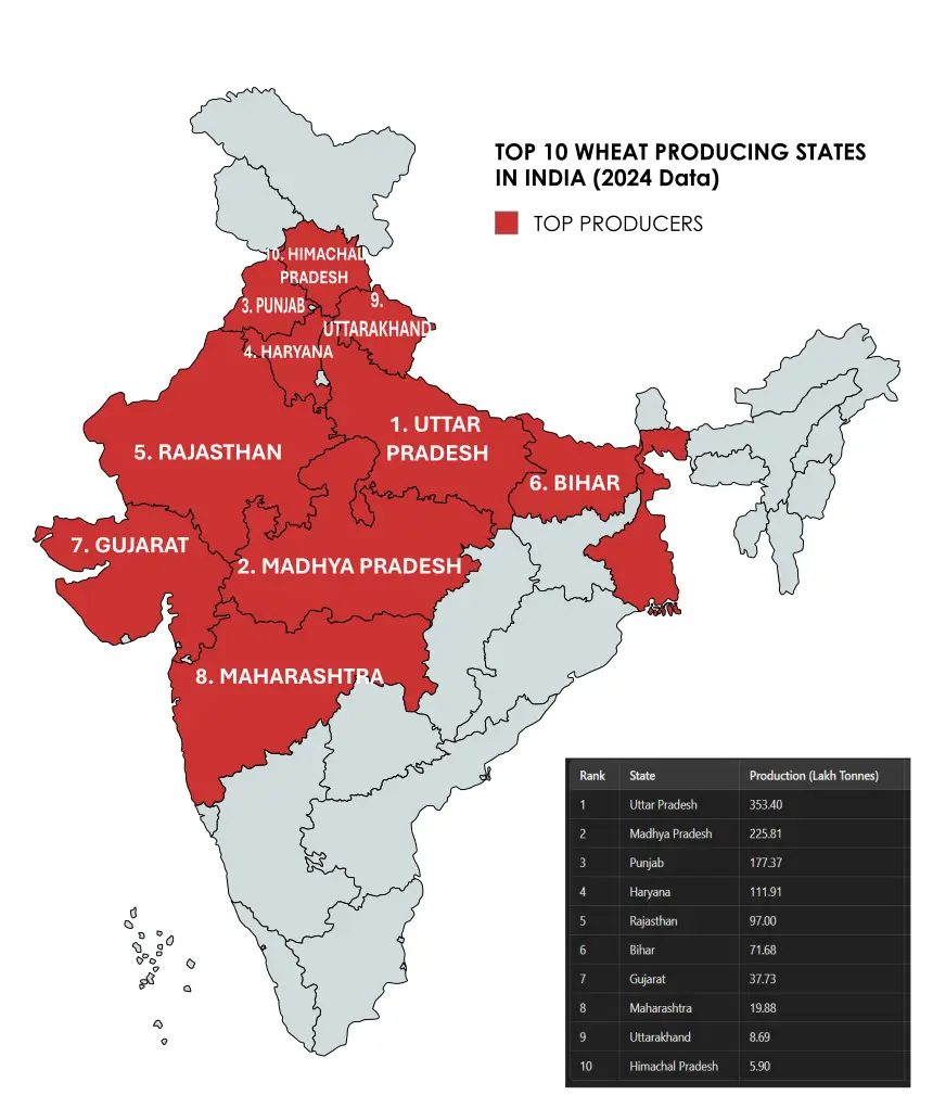 Largest Wheat Producing States in India 2024 with Map